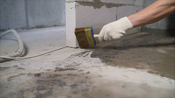 Top rated local Interior Drainage System specialists in Camino, CA